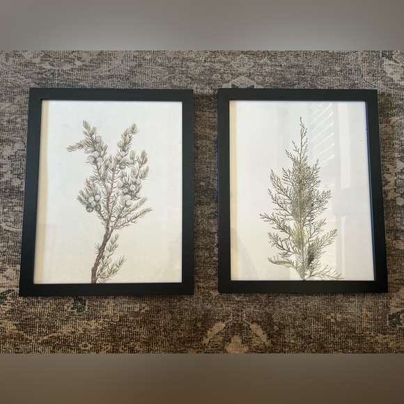 Other - Framed Evergreen Branch Prints 12 x 15